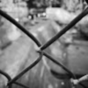 Meet your Posher, Bo